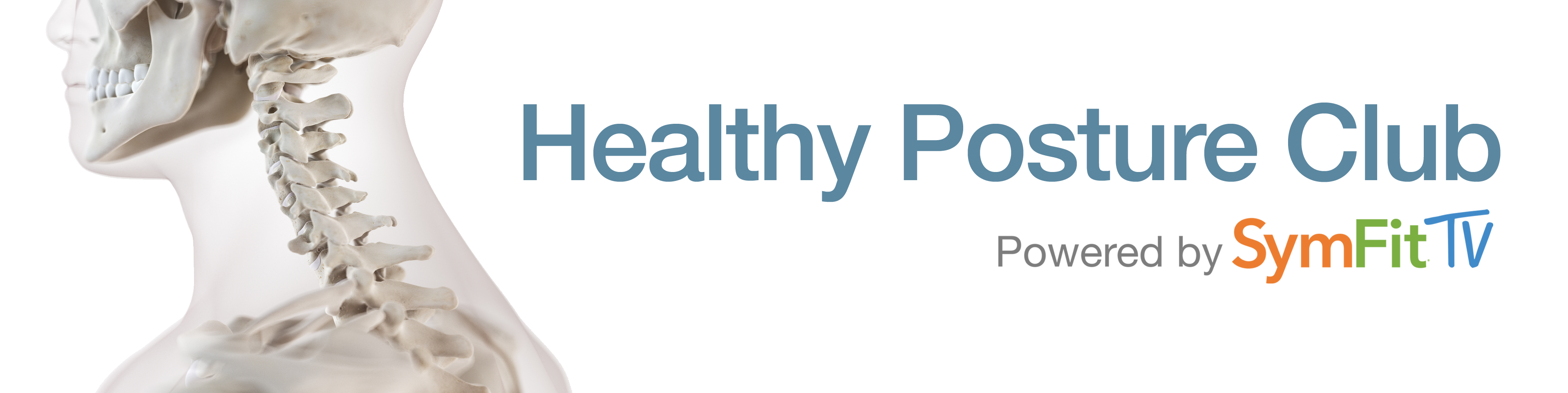 Healthy Posture Club